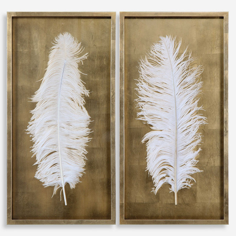 White Feathers Shadow Box, S/2