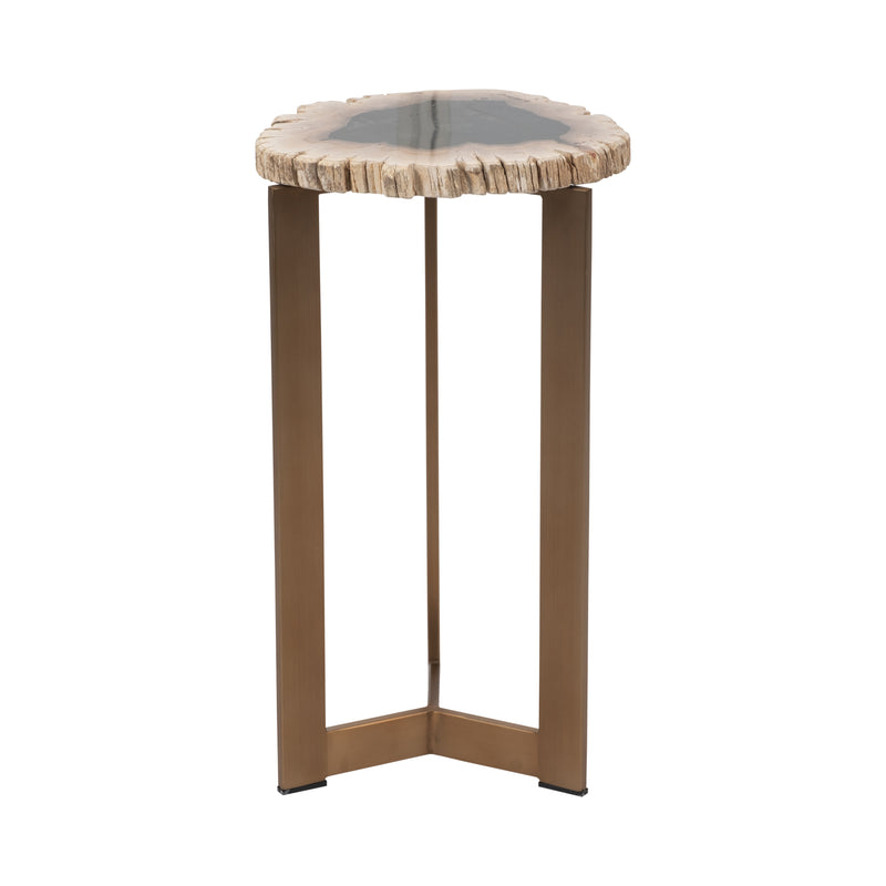 Petrified Wood, 21" Accent Table, Multi