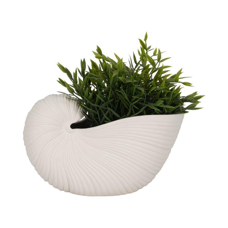 10" Nautilus Shell Planter, White