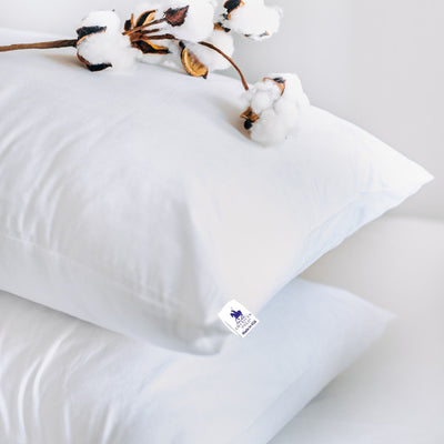 American Polo | Cotton Bed Pillow with Microfiber Filling