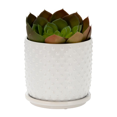 6" TINY DOTS PLANTER W/ SAUCER, WHITE