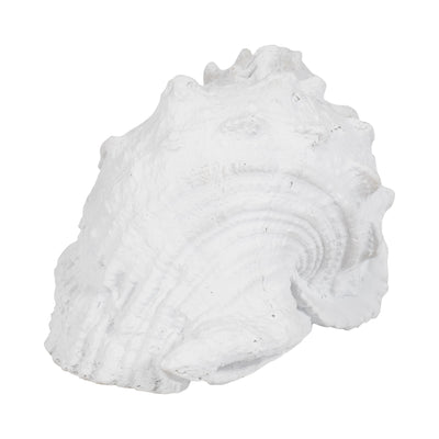 9" Conch Shell, White