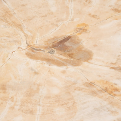 Petrified Wood And Teak 20" Accent Table, Cream