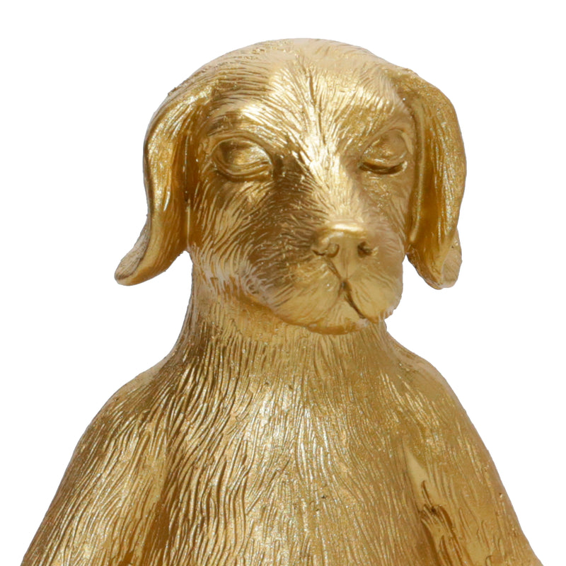 Polyresin 7" Yoga Dog, Gold