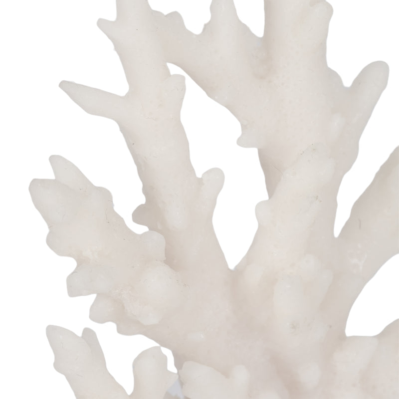 7" Coral On Glass Bookends, White