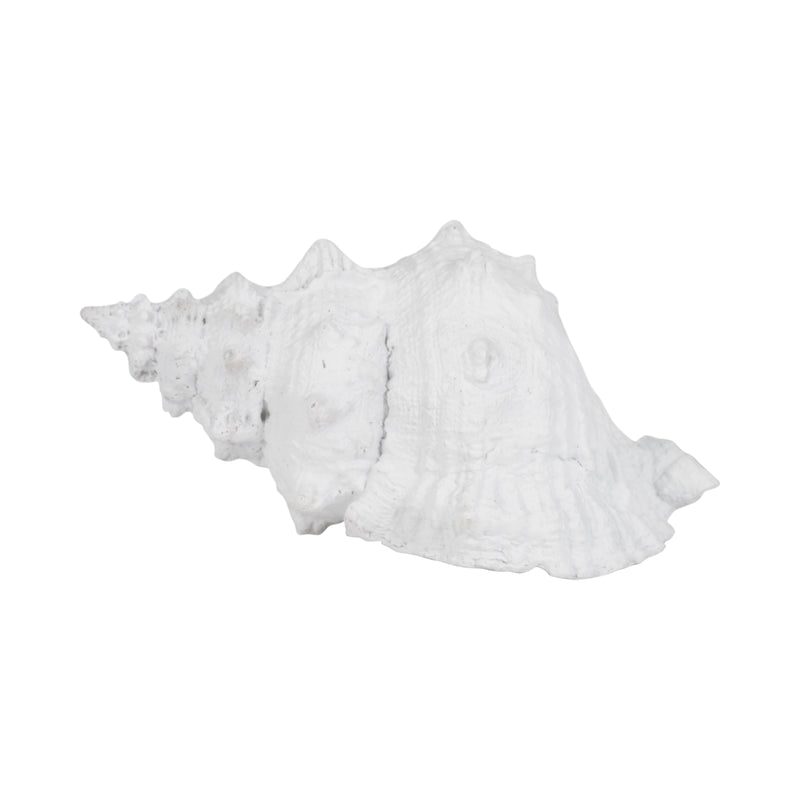 9" Conch Shell, White