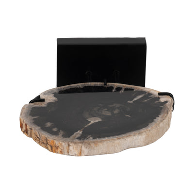 Petrified Wood, 12" Table Top Deco, Black