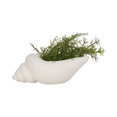 9" Conch Shell Planter, White