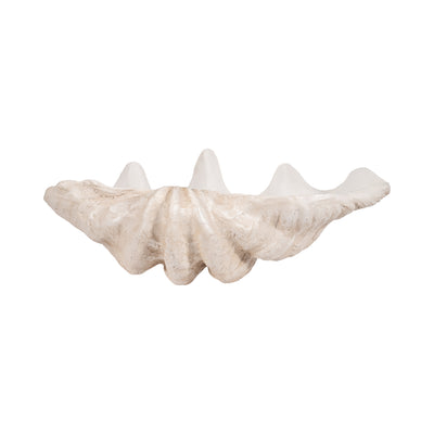 25" Pearlized Clam Shell Bowl, Ivory