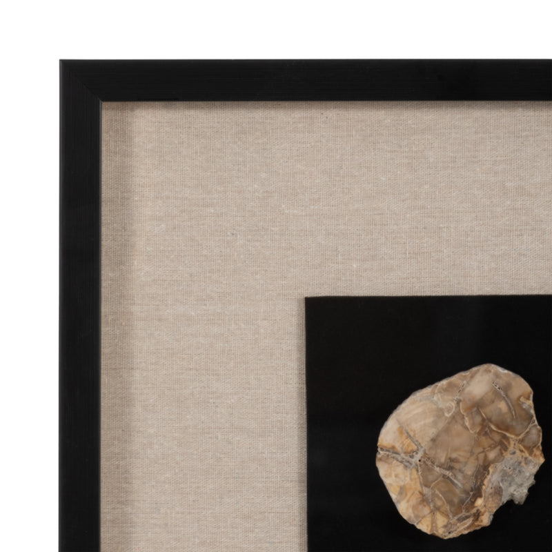 16x47 Jensen Petrified Stone Shadow Box Wall Decor