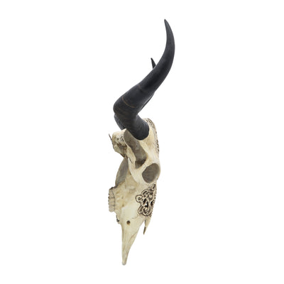 RESIN, 28" BULL SKULL WALL ACCENT, IVORY/BLACK KD