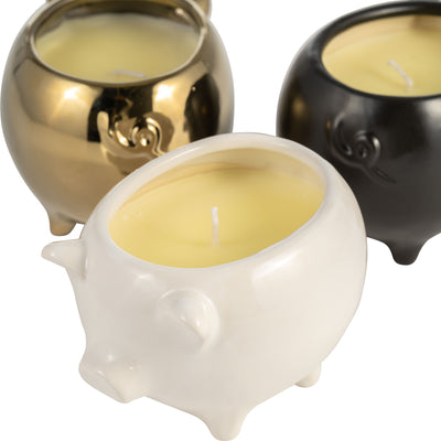 S/3 7" 9 Oz Vanilla Sandalwood Pig Candle, Multi