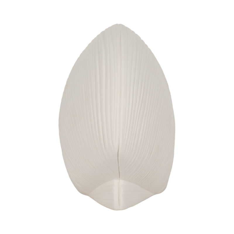 6" Seashell Decor, White