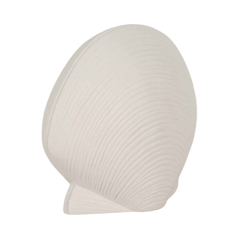 6" Seashell Decor, White