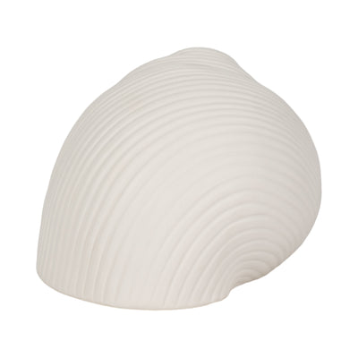 6" Bonnet Seashell, White