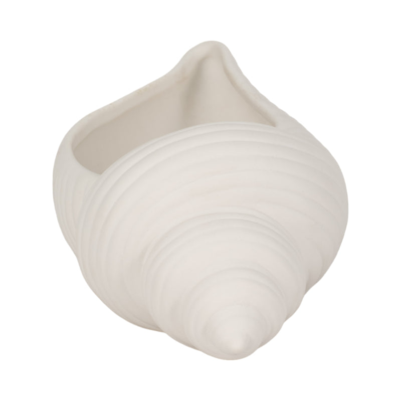 9" Conch Shell Planter, White