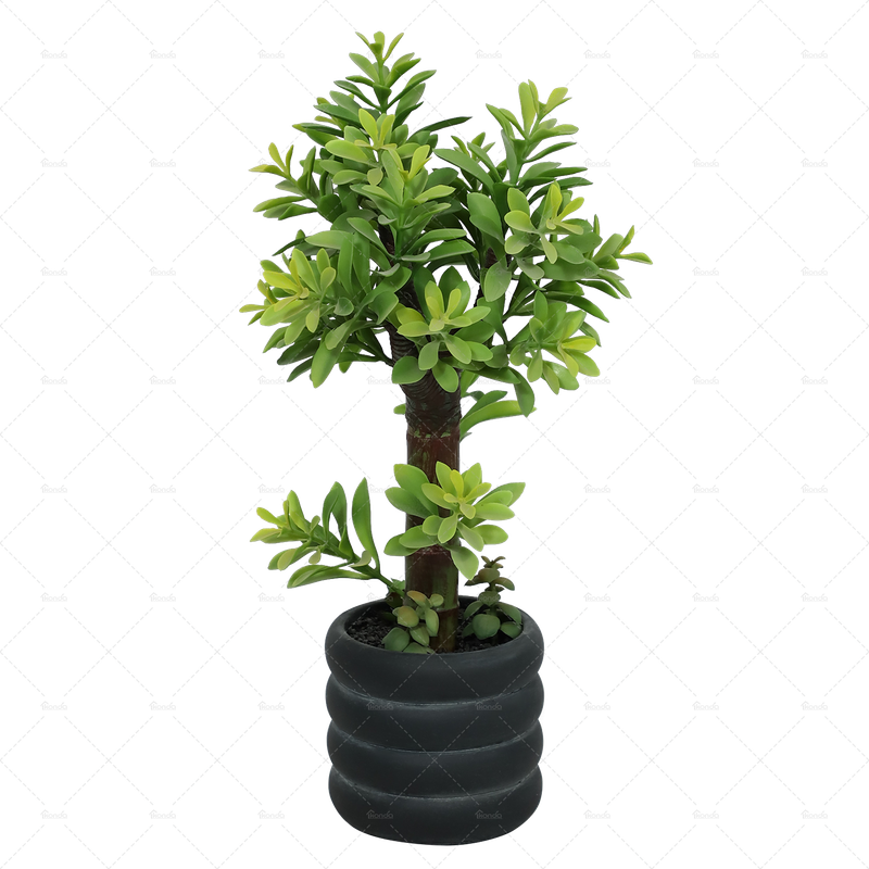 Topiary tree  AL