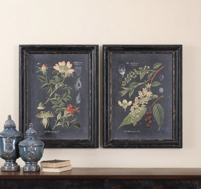 Midnight Botanicals Framed Prints, S/2