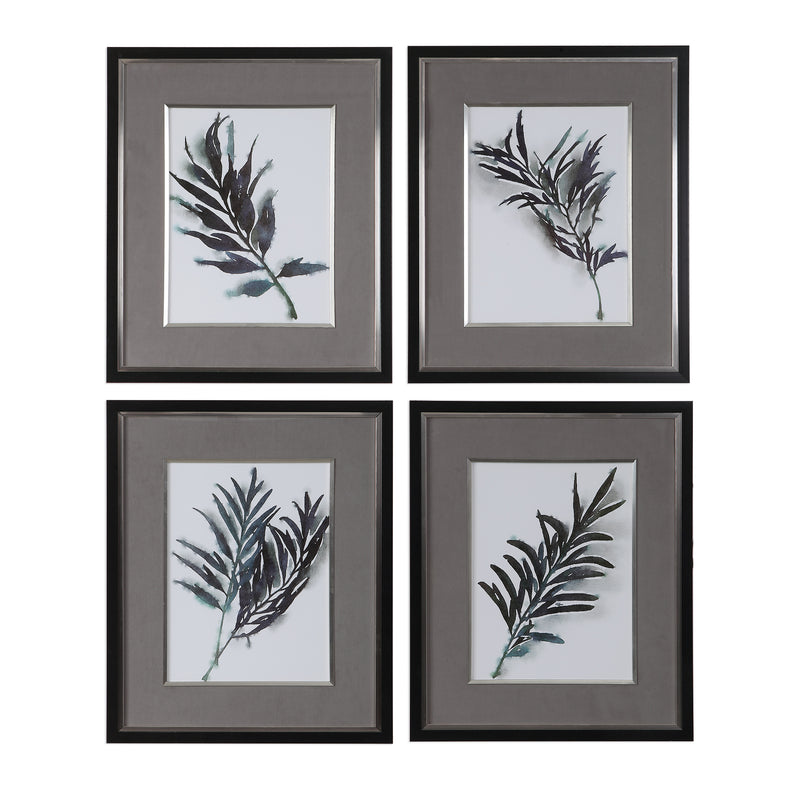 Eucalyptus Leaves Framed Prints, S/4