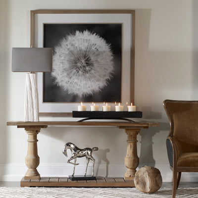 Dandelion Seedhead Framed Print