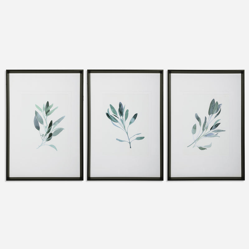 Simple Sage Framed Prints, S/3