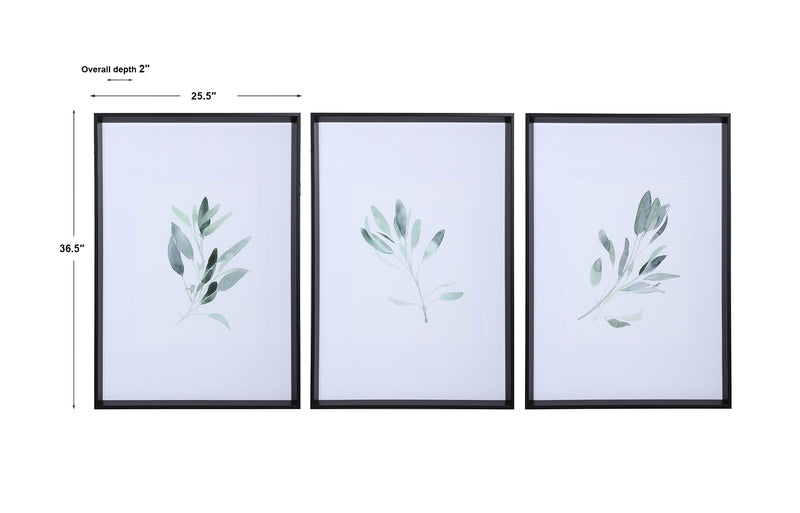 Simple Sage Framed Prints, S/3