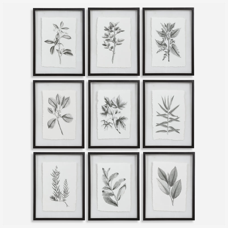 FARMHOUSE FLORALS FRAMED PRINTS, S/9 3 CARTONS