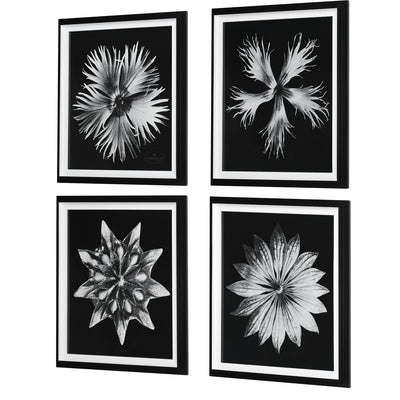 Contemporary Floret Framed Prints, S/4