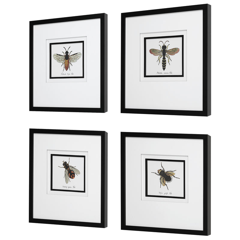 Anthophila Framed Prints, S/4