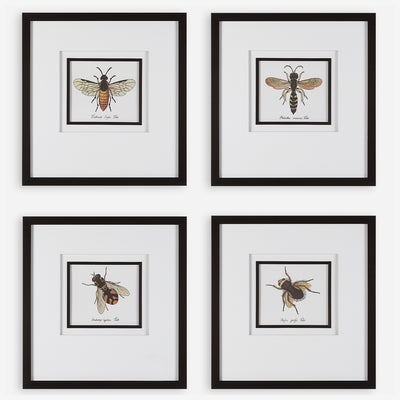 Anthophila Framed Prints, S/4