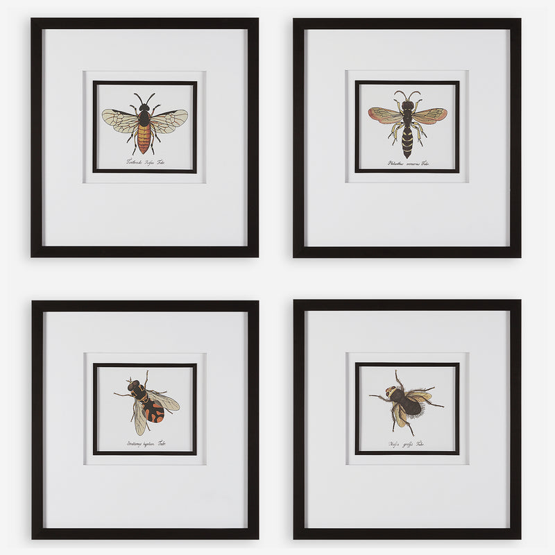 Anthophila Framed Prints, S/4