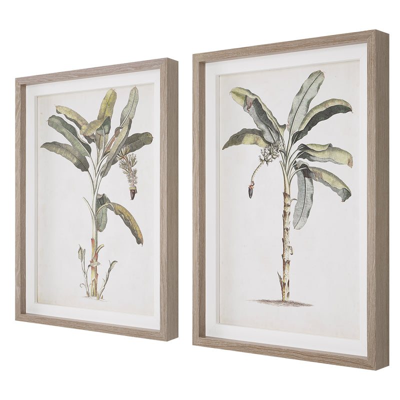 Banana Palm Framed Prints, S/2