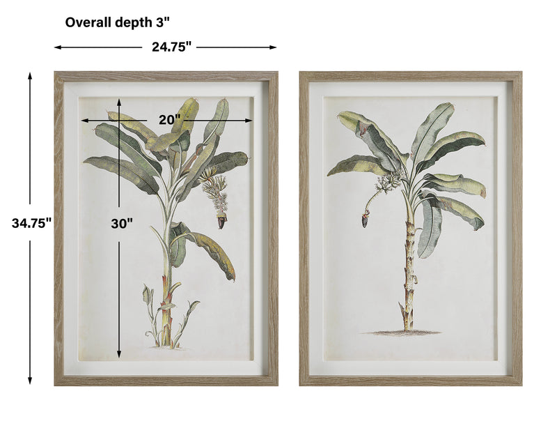 Banana Palm Framed Prints, S/2