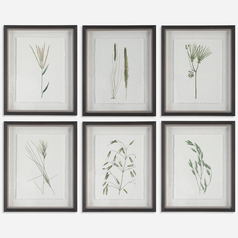 Forest Finds Framed Prints, S/6