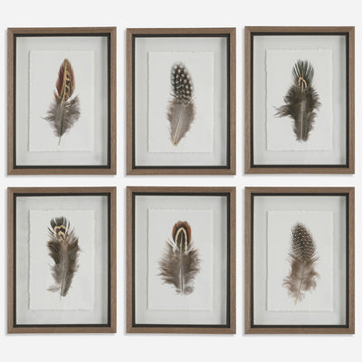 Birds of a Feather Framed Prints, S/6