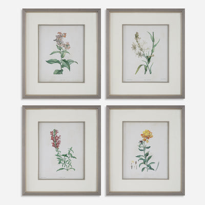 Uttermost Heirloom Blooms Study Framed Prints Set/4