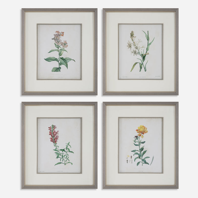 Uttermost Heirloom Blooms Study Framed Prints Set/4