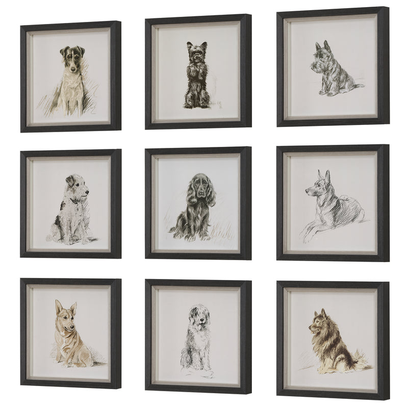 Loyal Companion Framed Dog Prints, S/9