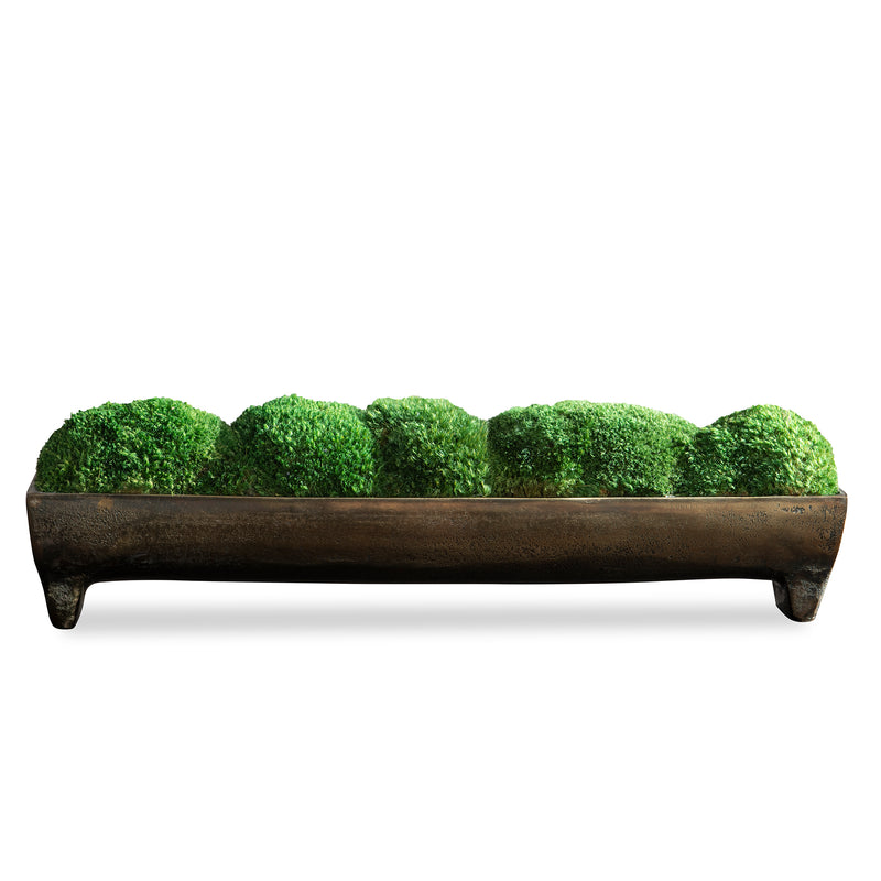 Canal Moss Centerpiece, Small