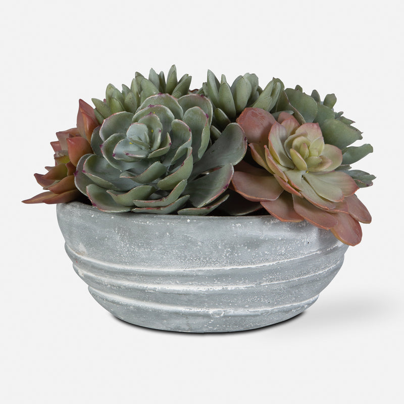 Peoria Succulent Accent