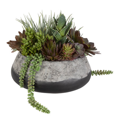 Yuma Succulent Centerpiece