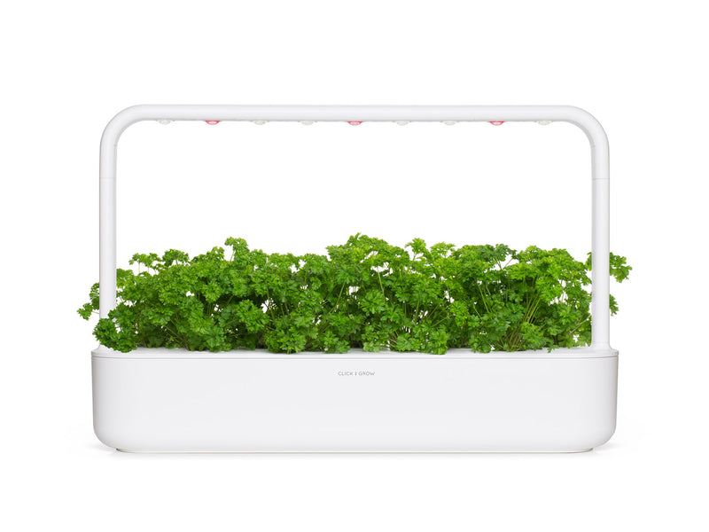 Click & Grow Seeds Parsley