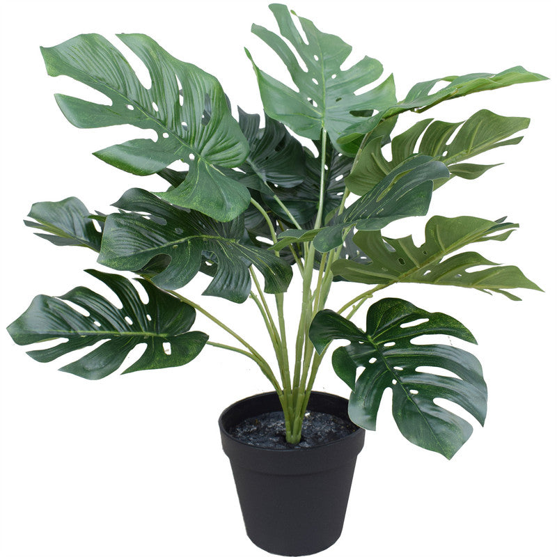 SPLIT PHILO Monstera 40CM