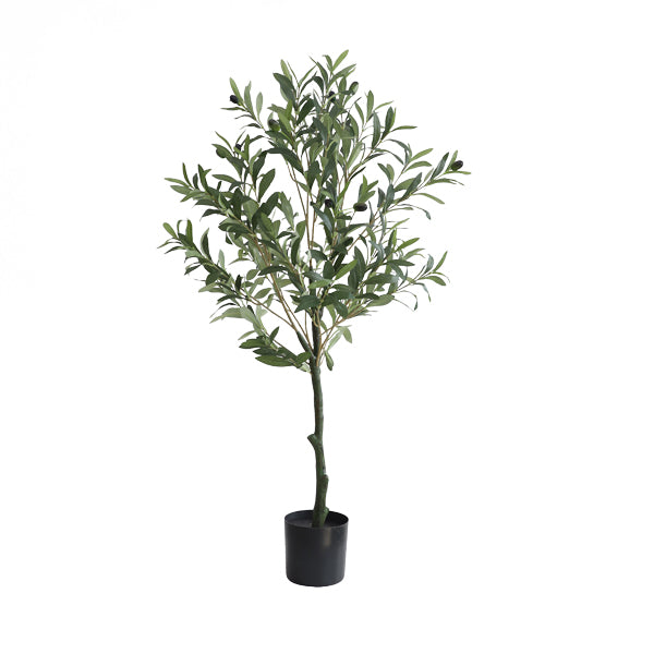 OLIVE TREE - 100cm