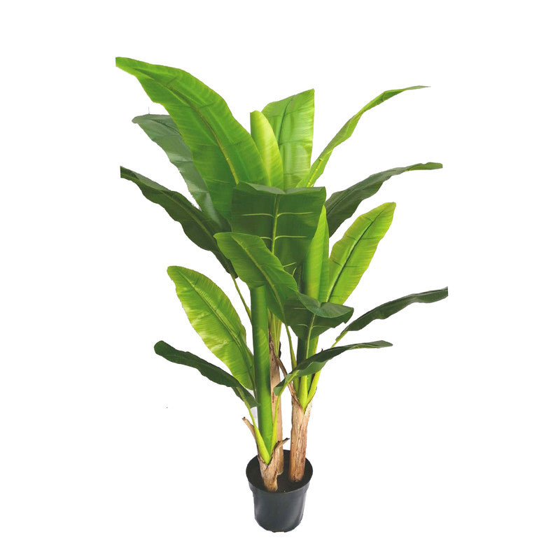 banana tree - 150cm-