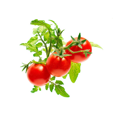 Click & Grow Seeds Mini Tomato