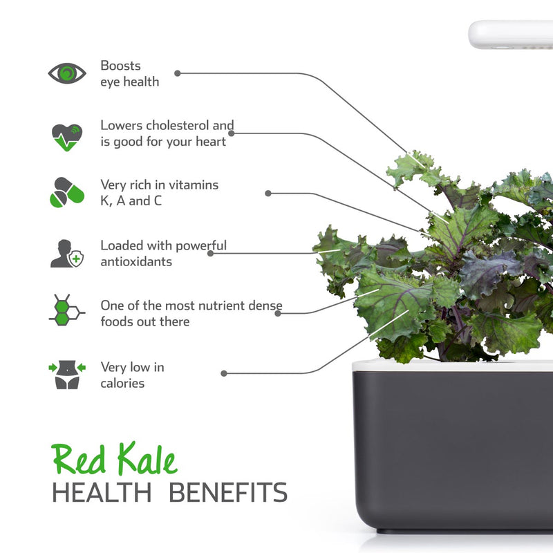 Click & Grow Seeds Red Kale