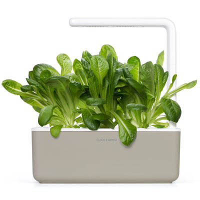 Click & Grow Seeds Romaine Lettuce