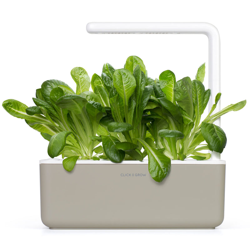 Click & Grow Seeds Romaine Lettuce