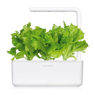 Click & Grow Seeds Green Lettuce